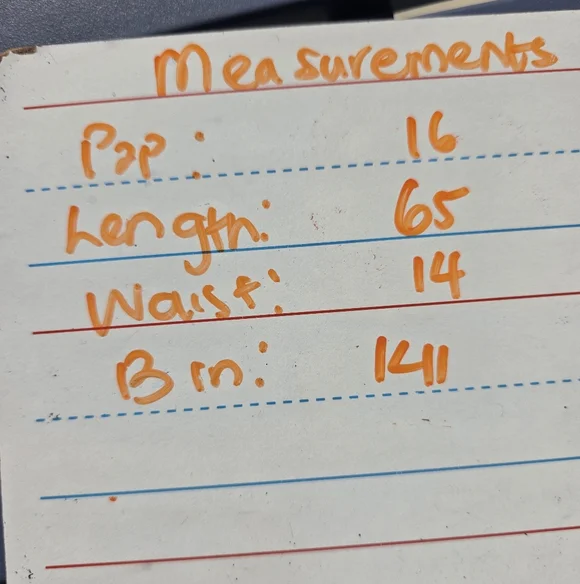 $258 Betsy & Adam Elaine" Long Metallic Crinkle Cowl Neck Dress Sz 8 NWT Wedding - Picture 5 of 12